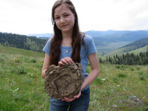 National Bison Range